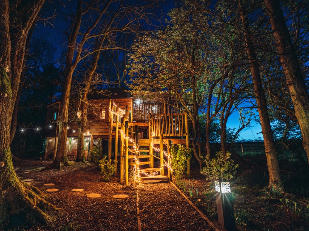 Celebrate Winter in Style at Woodland Chase