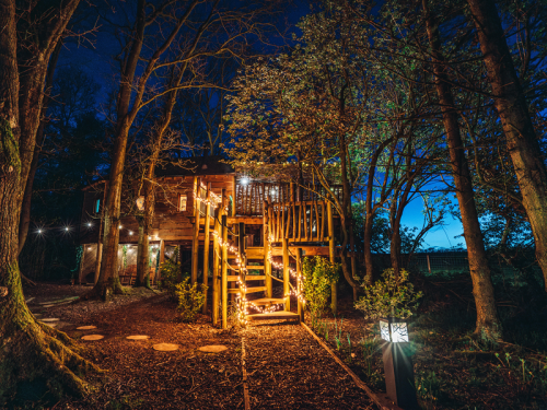 Celebrate Winter in Style at Woodland Chase