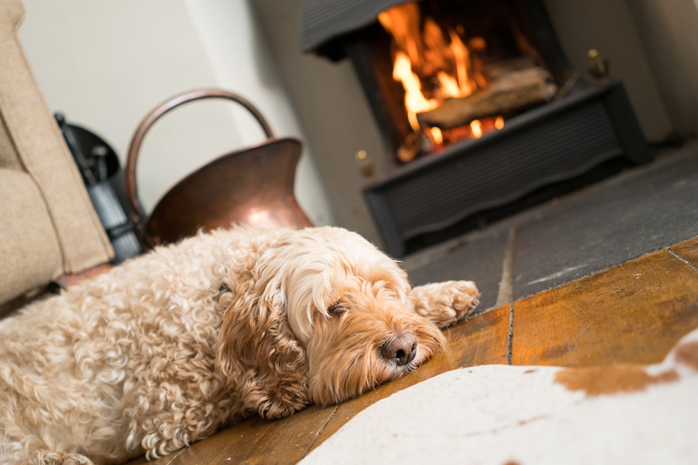 Toby by the Fire, High Force Hotel