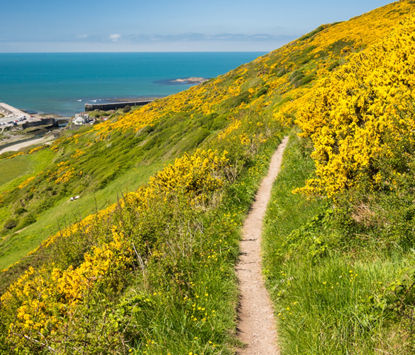 Cardigan, Pembrokeshire