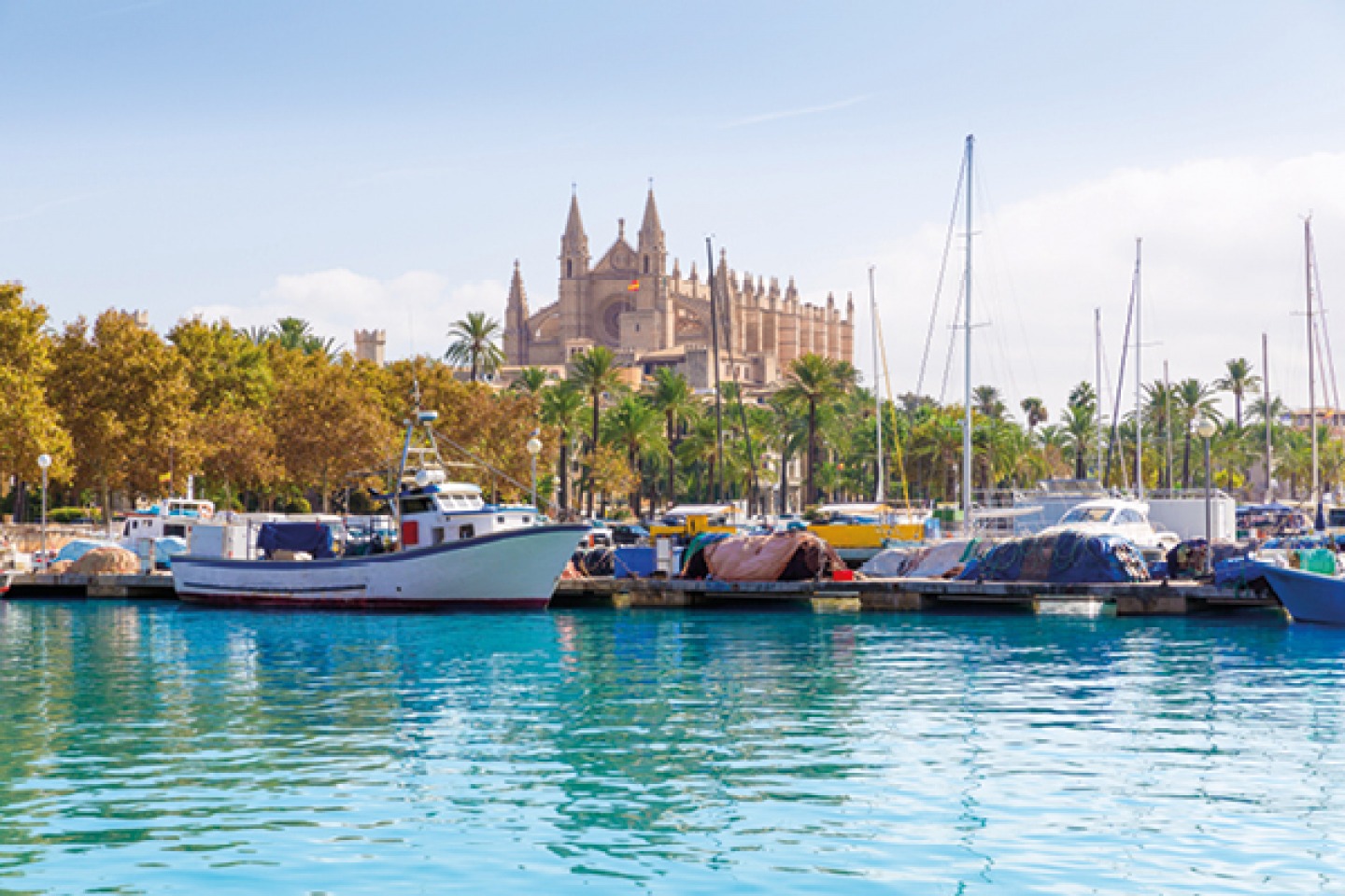 Palma