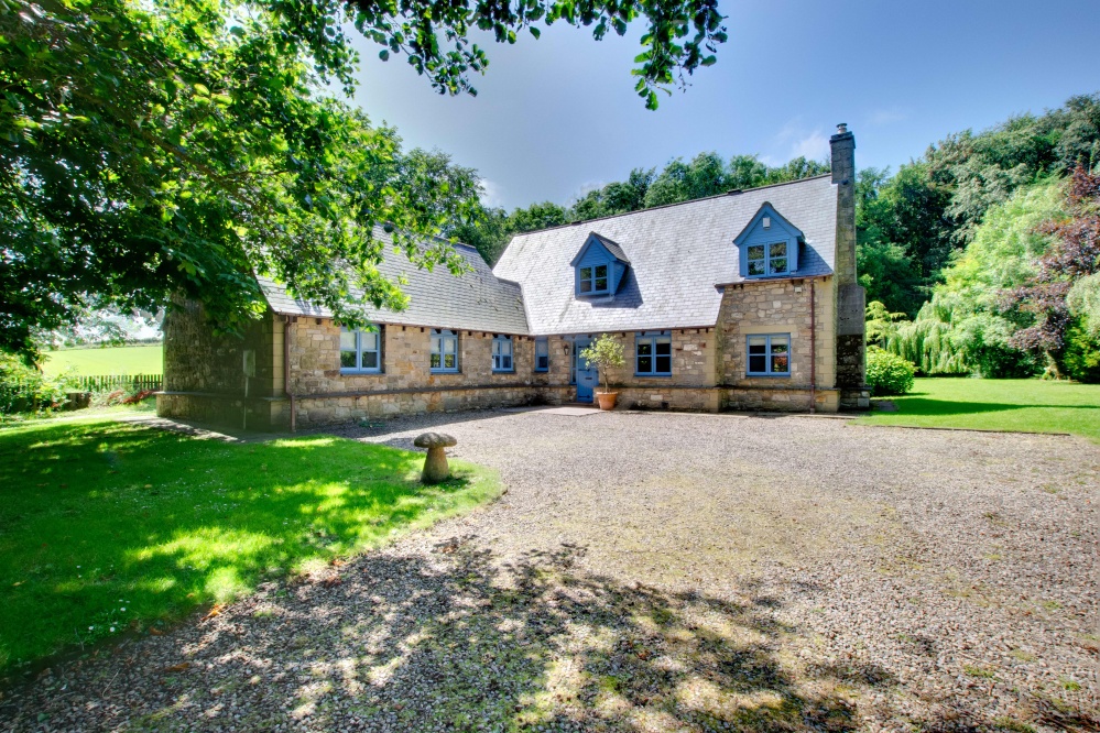 Blue Poppy House