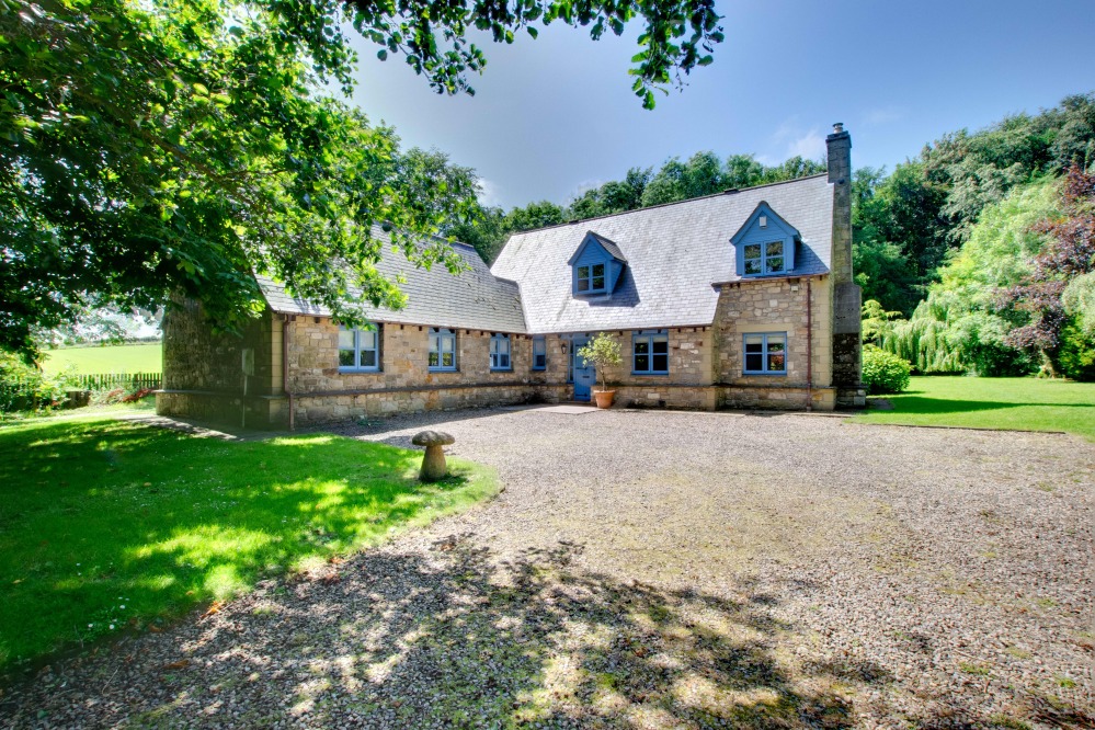 Blue Poppy House