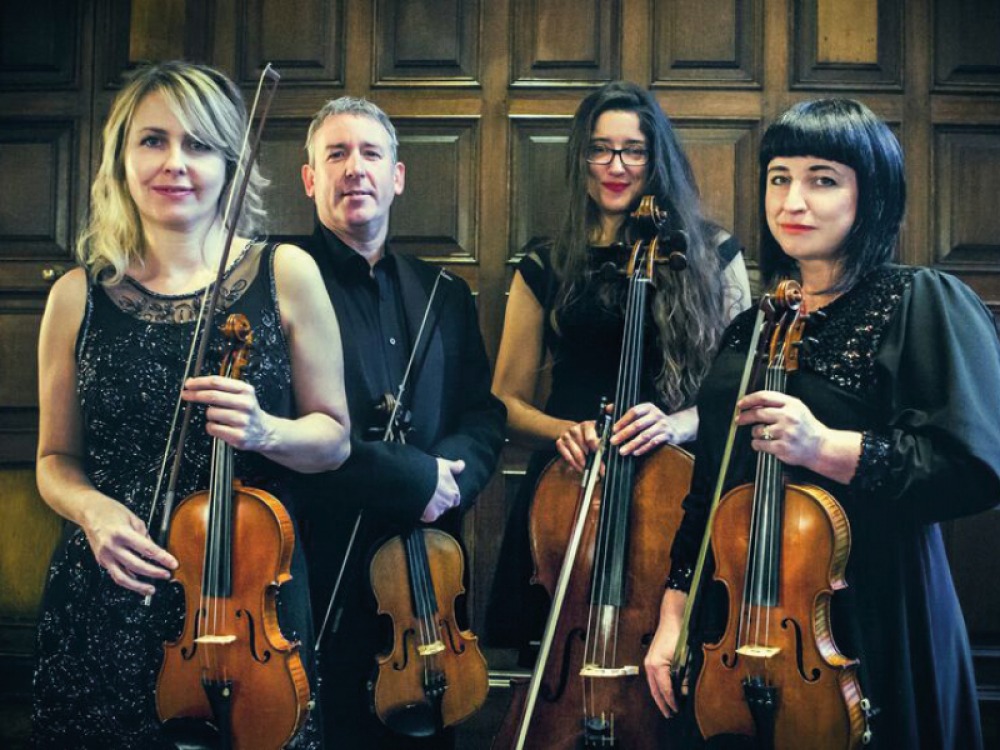Aurora Strings
