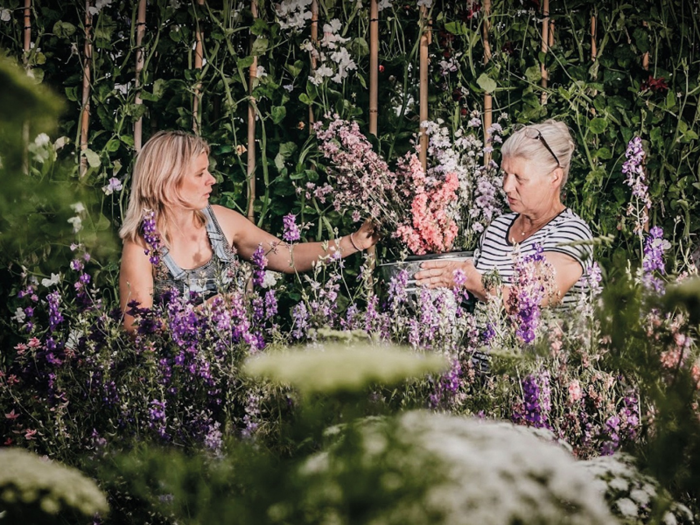 Pink’s Flower Farm