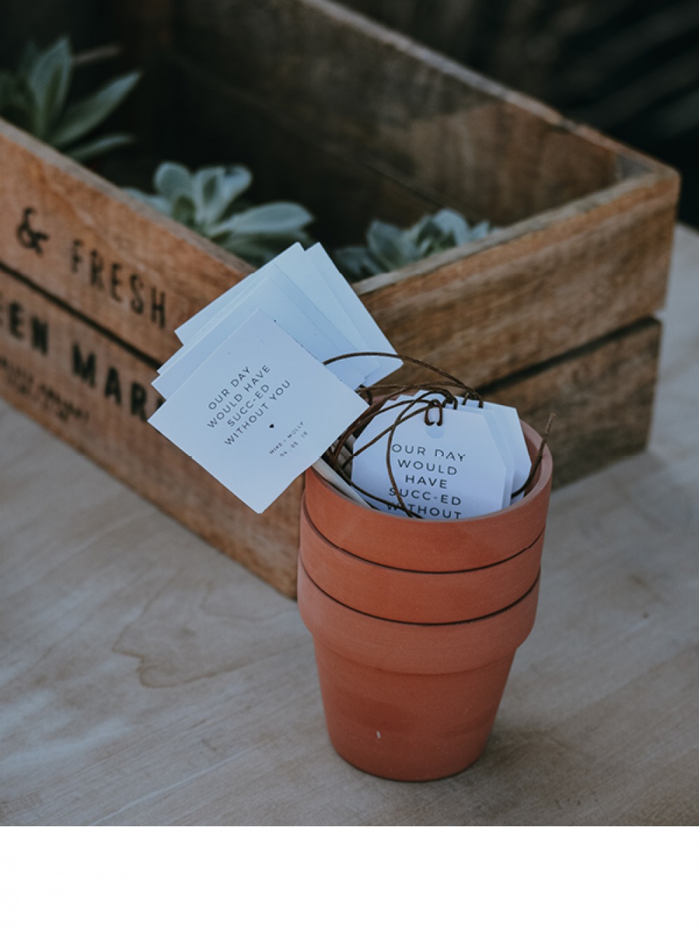 Succulents in a box with ceramic pots