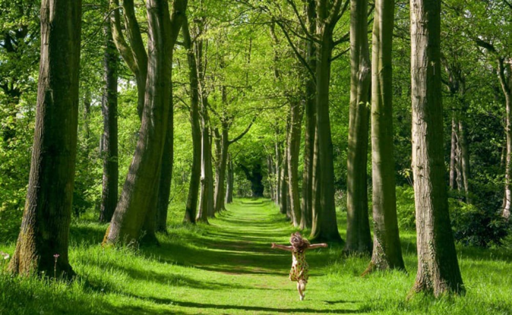 child running at Thorp Perrow Arboretum