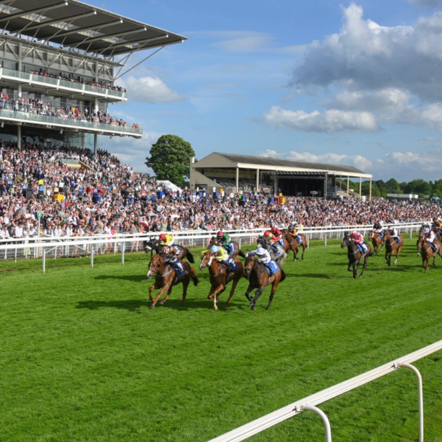 horse racing