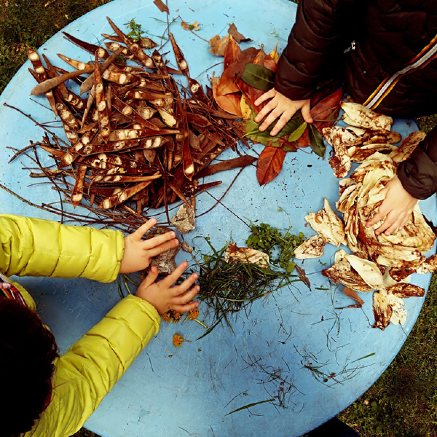 ariel view of two children playing with leaves, grass and petals