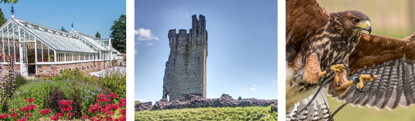 Helmsley Walled Garden | Helmsley Castle | The National Centre for Birds of Prey