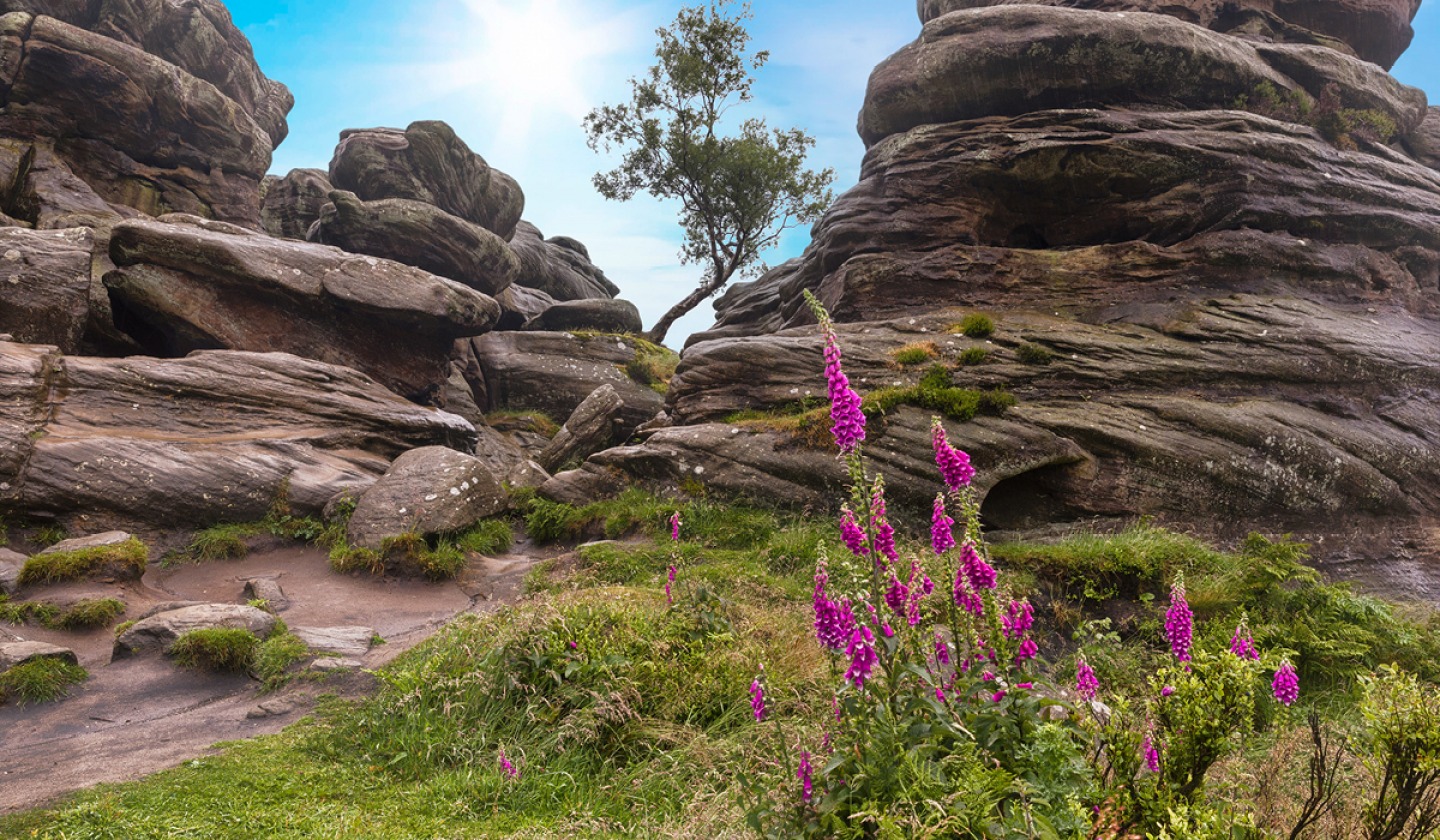 Brimham Rocks