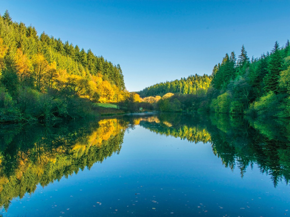 Dalby Forest
