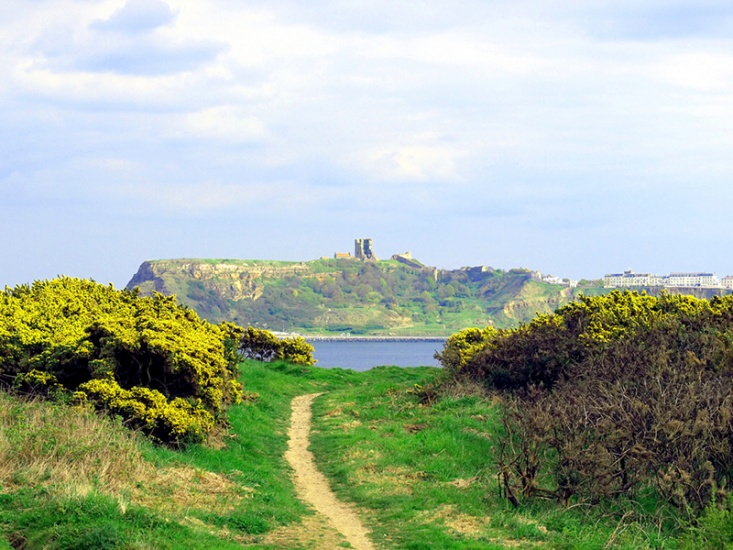 countryside walk with a view of the sea