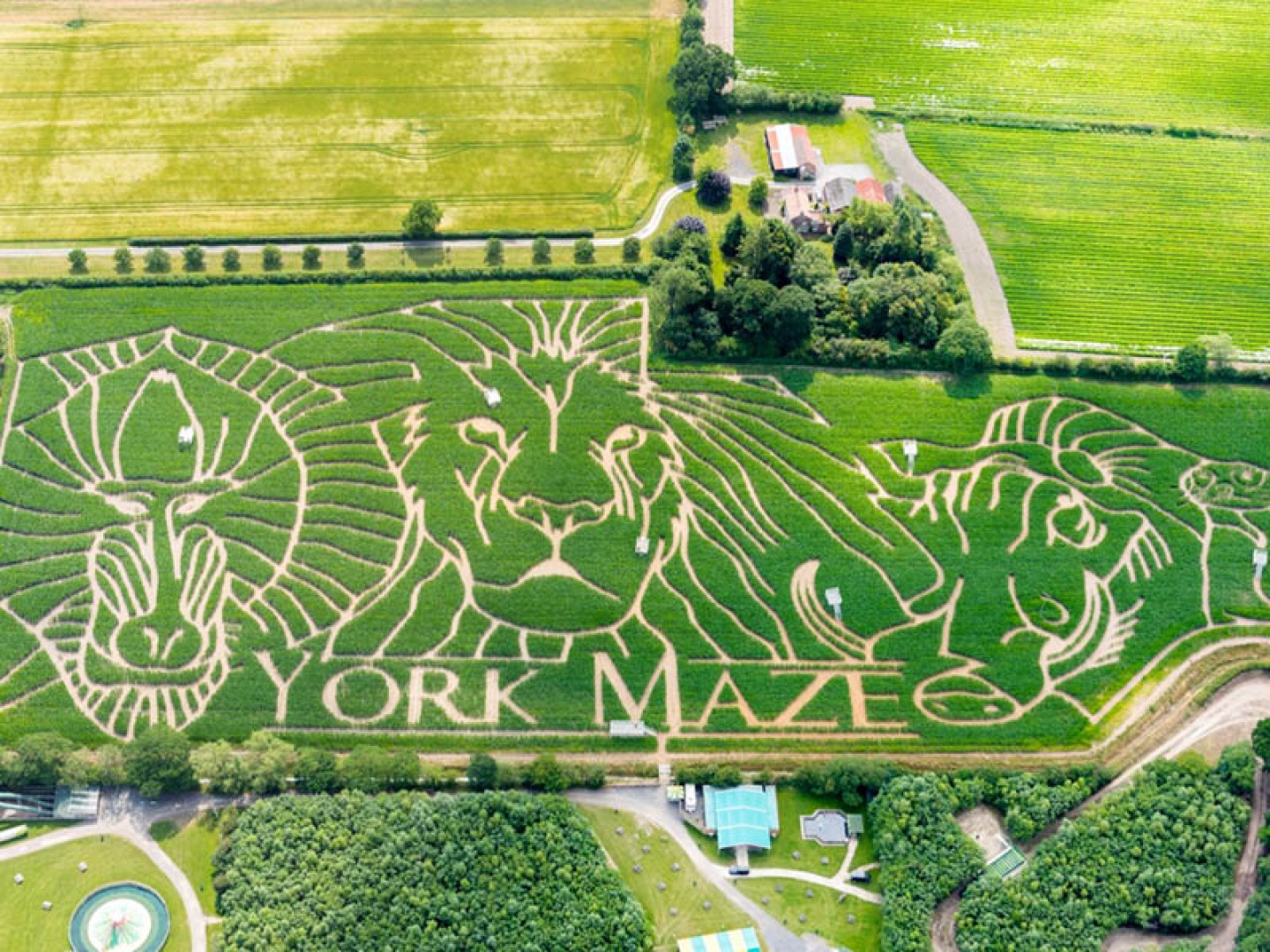 York Maze