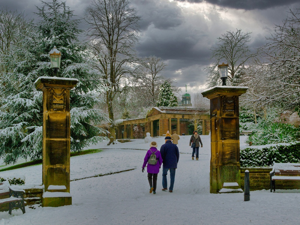 harrogate in the spring