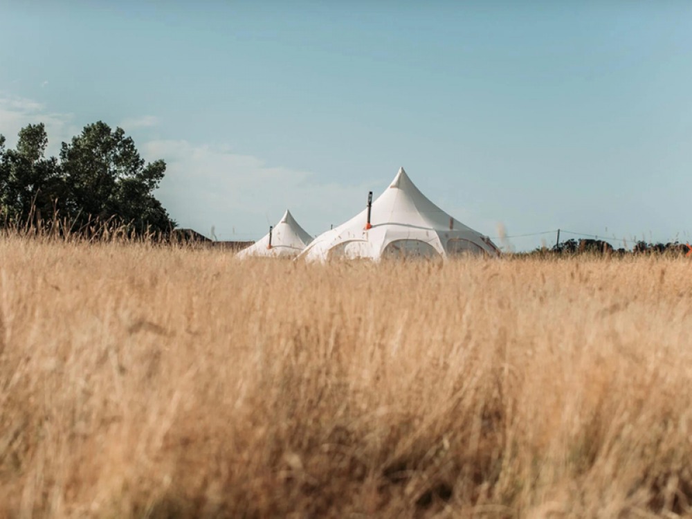 Bamburgh Under Canvas
