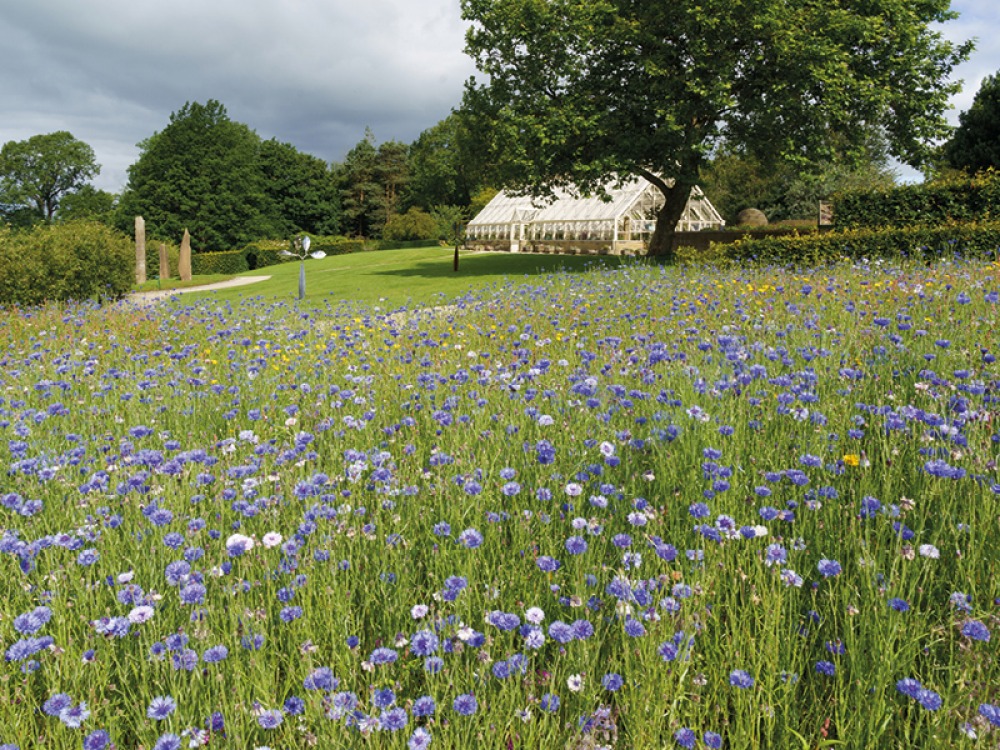 RHS Harlow Carr