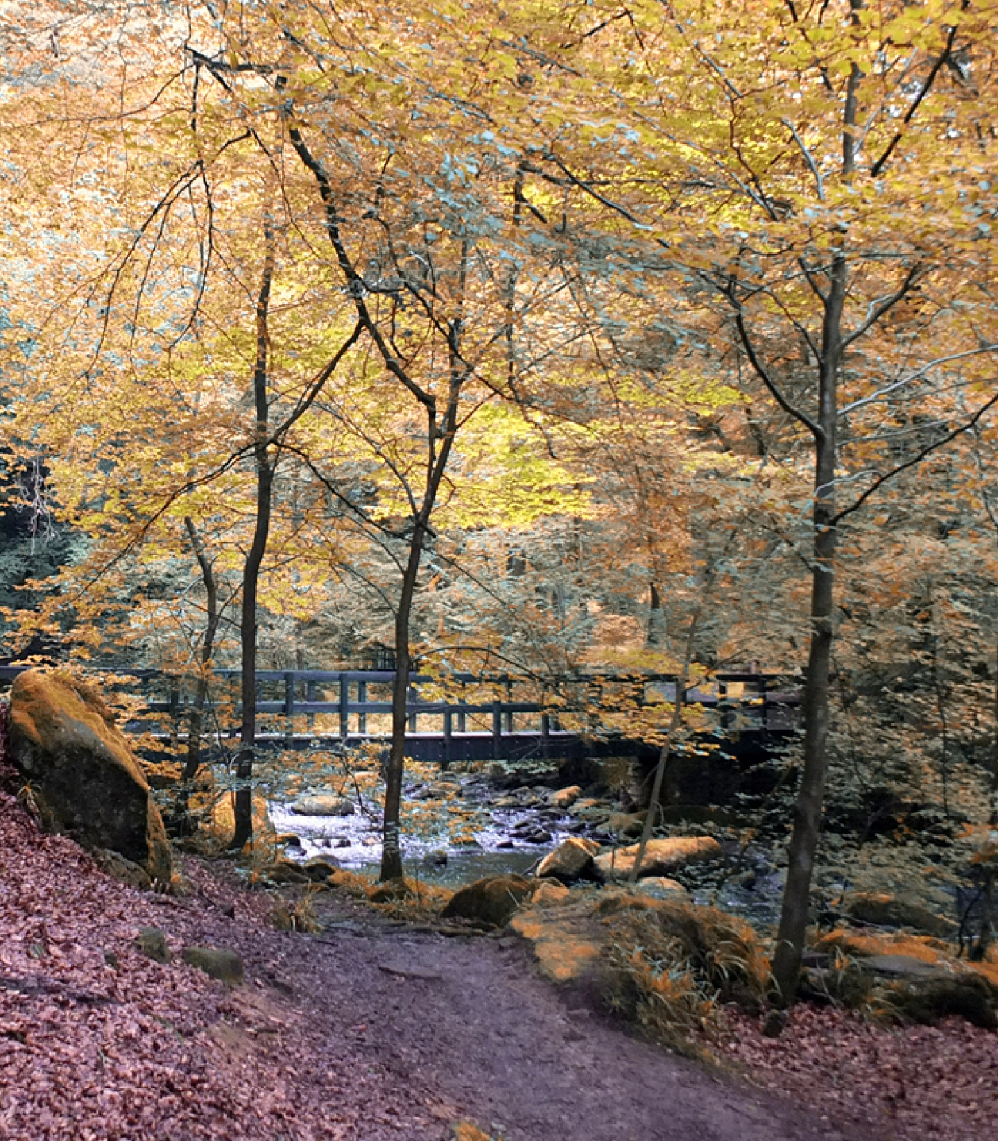 Hardcastle Crags