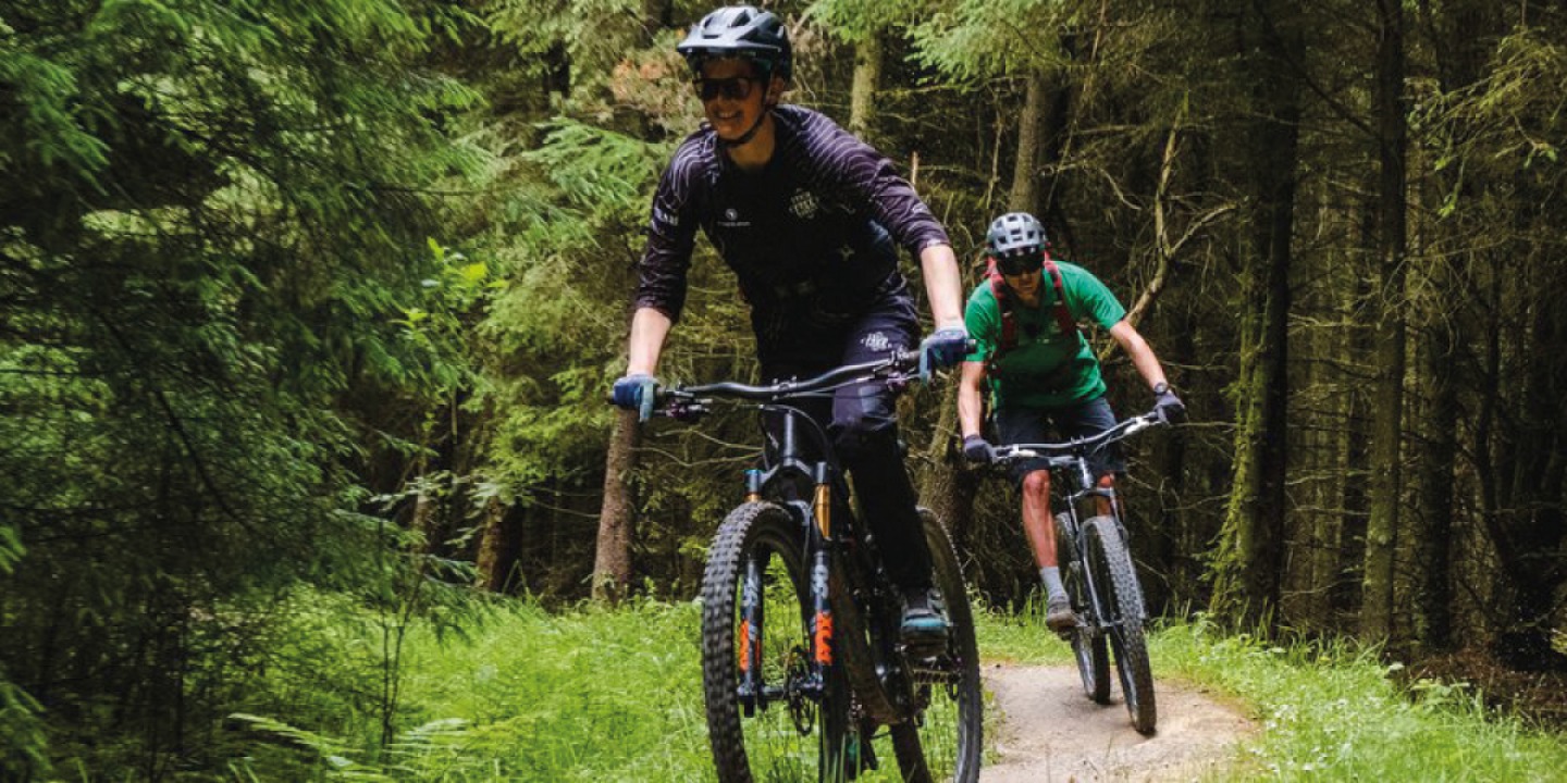 Dalby Forest