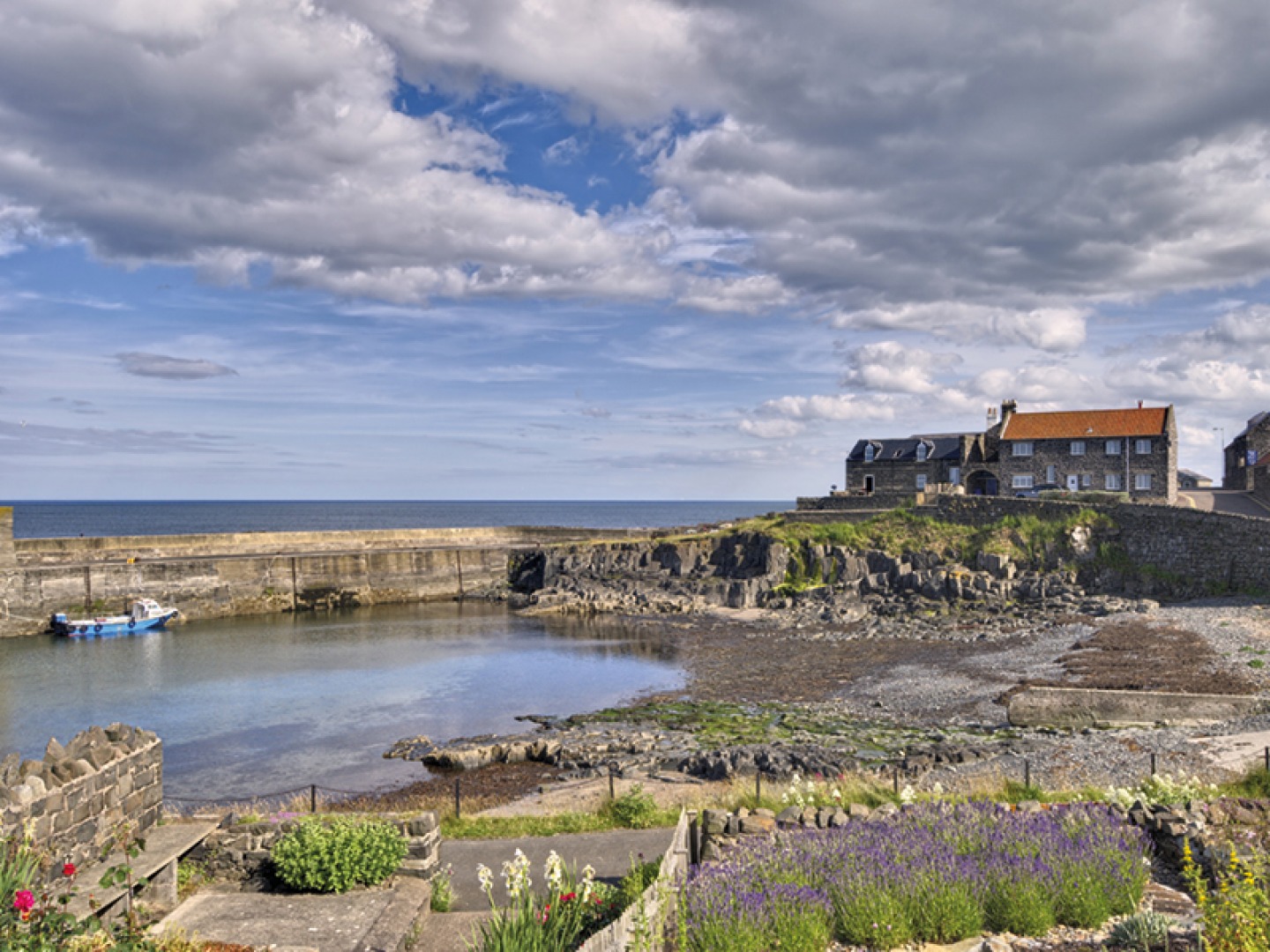 Craster