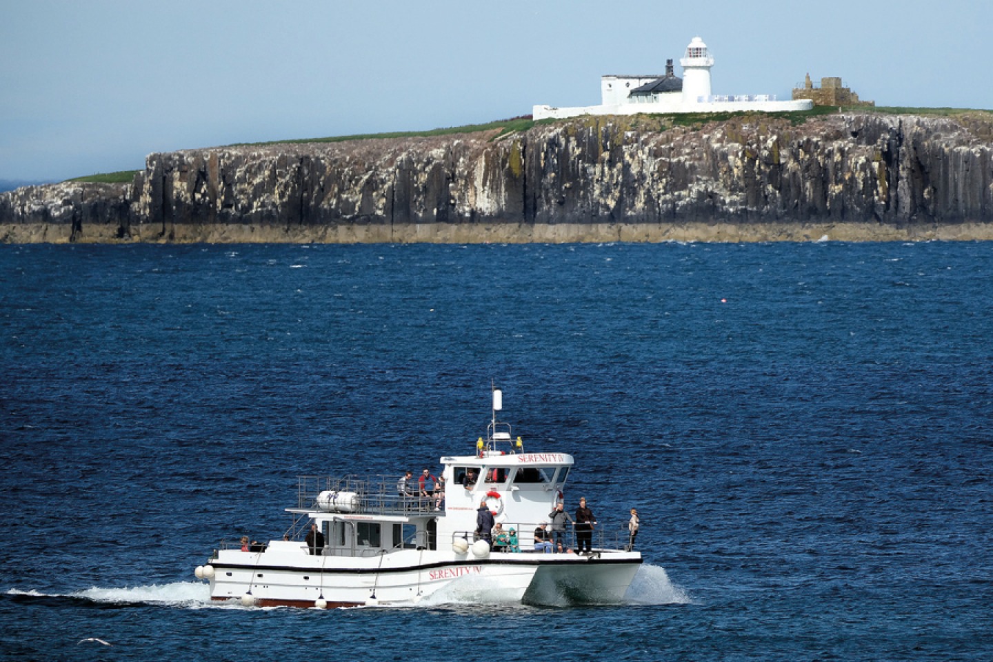 Boat trip to the Farne Islands