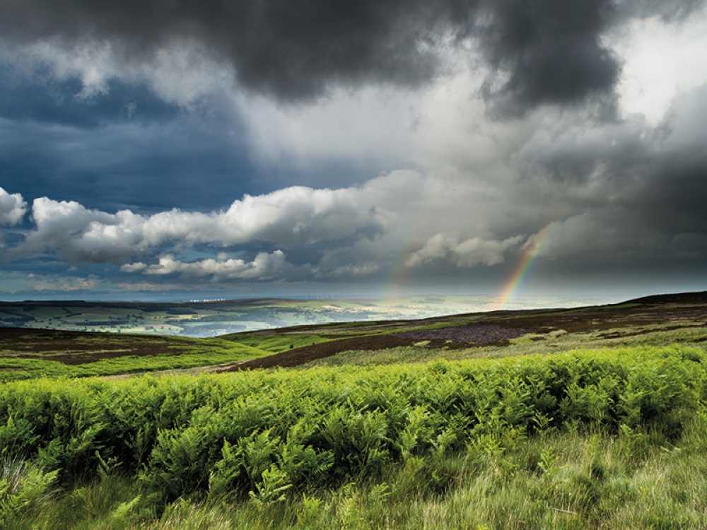 Ilkley Moor