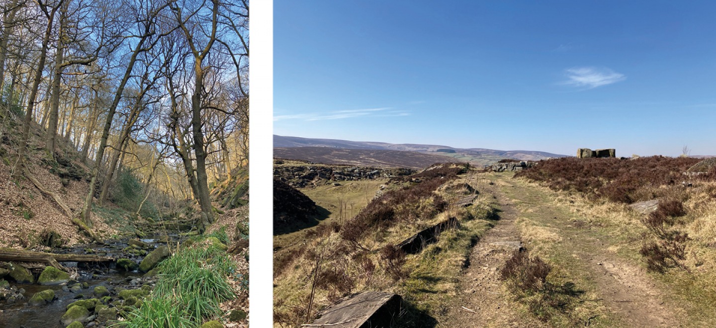 Shipley Glen © Natural England | Penistone Hill Country Park © Natural England