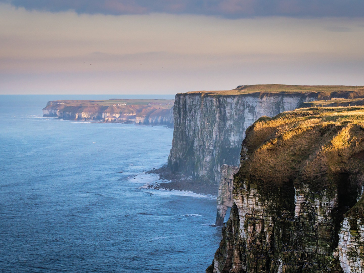 Flamborough Head