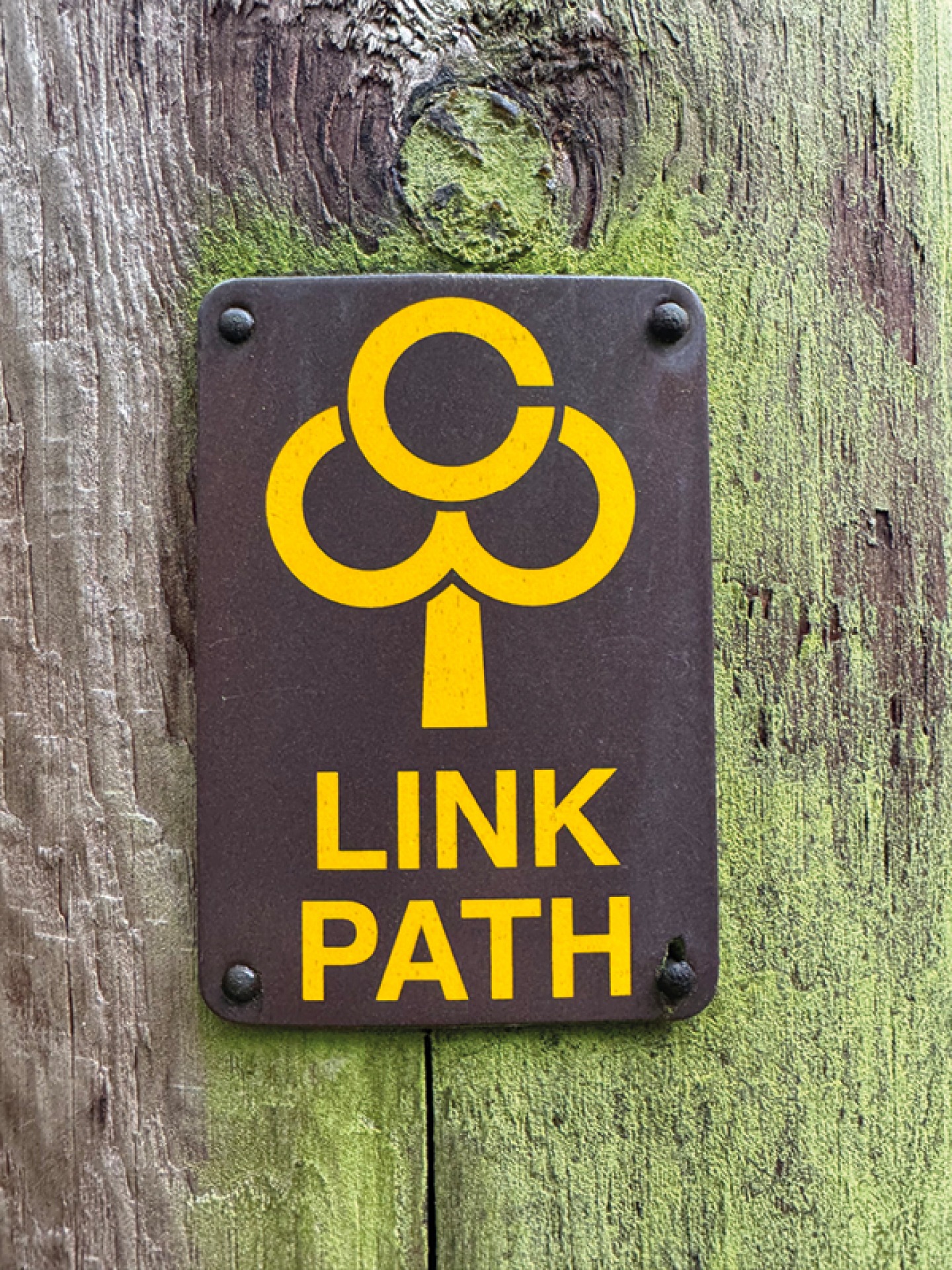 Link Path sign attached to a tree