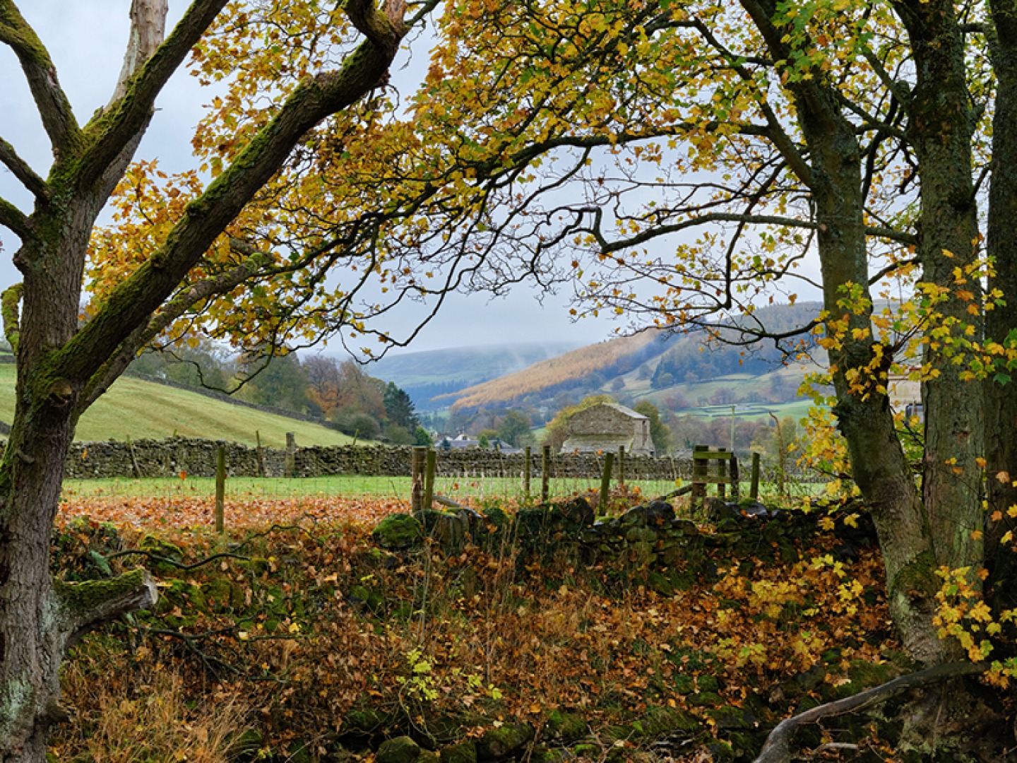 Arkle Beck beside Reeth