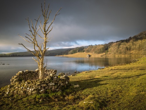 Three Great Circular Walks for Winter