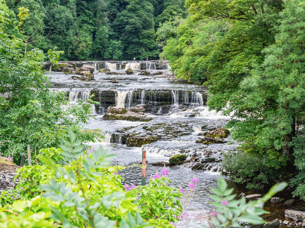 Wensleydale countryside