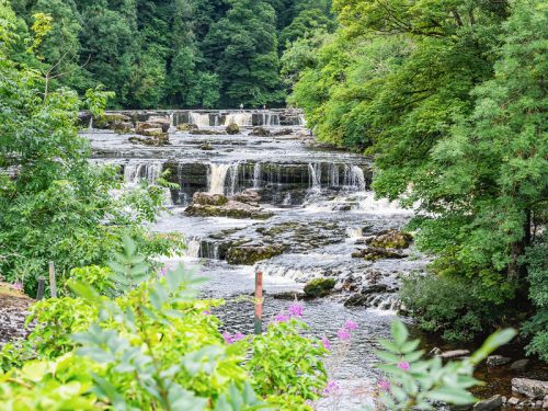 Wander Wensleydale with Matthew Wolfenden and Roxy Shahidi