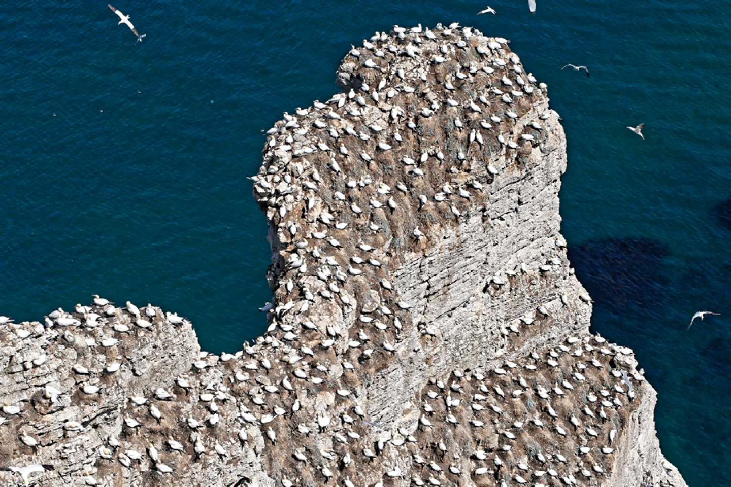 Benpton Cliffs