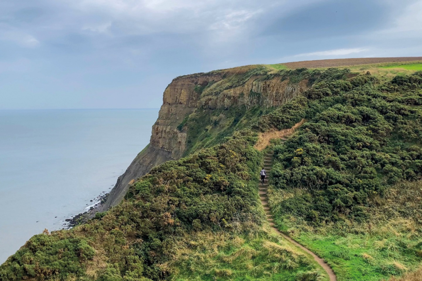 Cleveland Way 