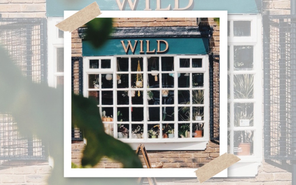 Wild The Plant Shop exterior