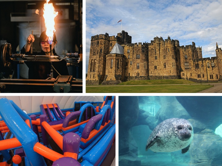 collage of images. woman at a Bunsen burner, Alnwick Castle, Soft play, a seal swimming
