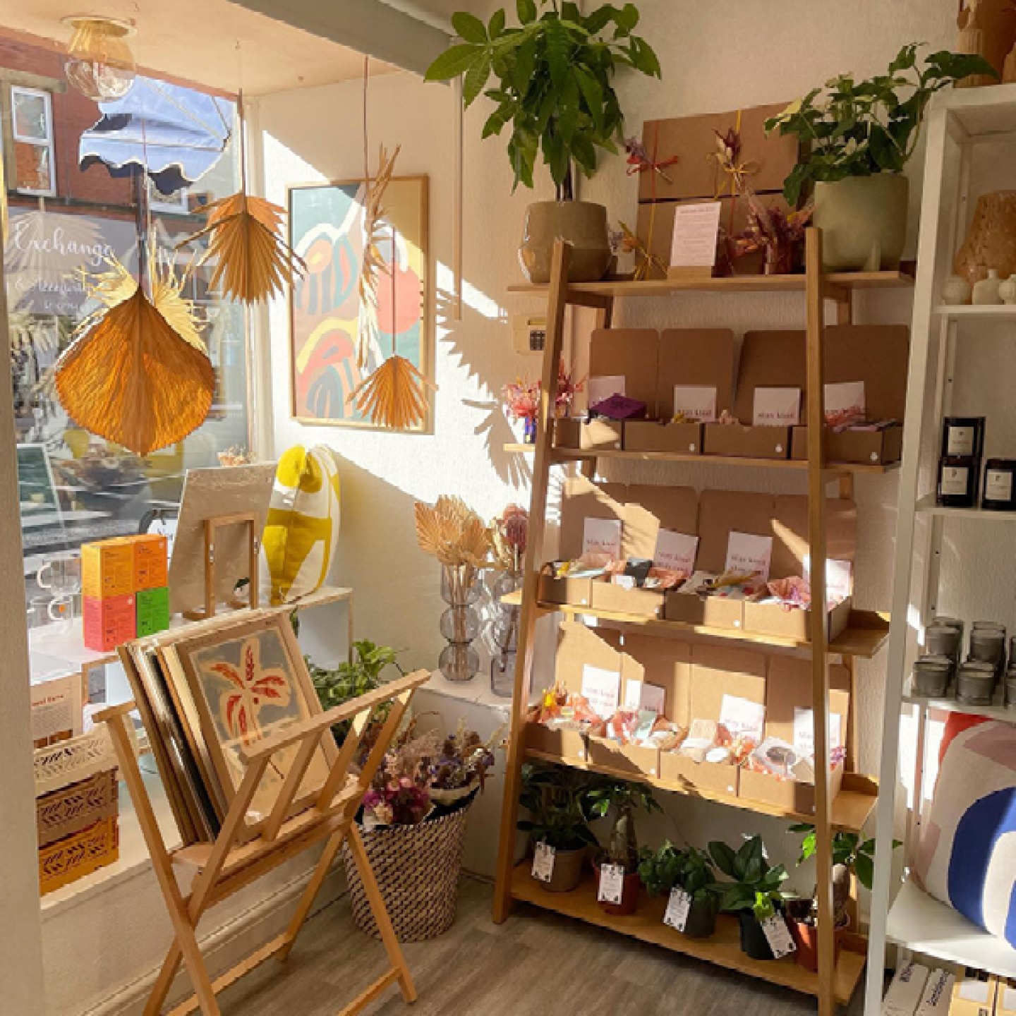 window display at Bellwoods Lifestyle Store