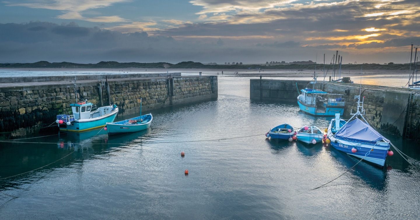 Boats in a harbour