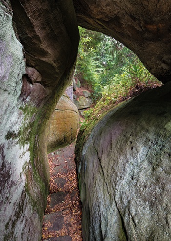 Forty miles of footpaths to explore