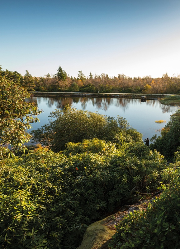 Stretch your legs on an autumn walk around Nelly’s Moss