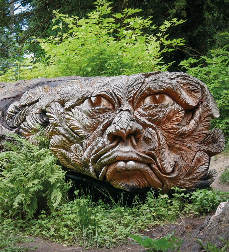Discover ‘Douglas’ nestled between the trees