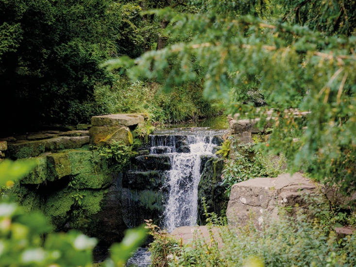waterfall with greenery