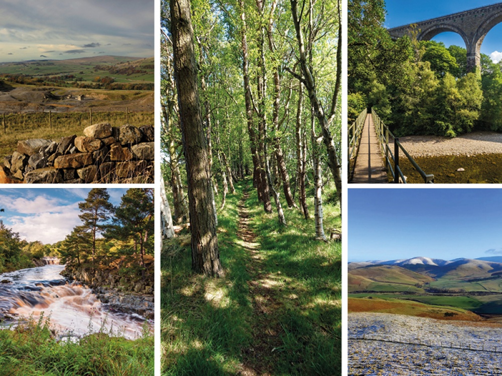 collage of landscapes featured in articles