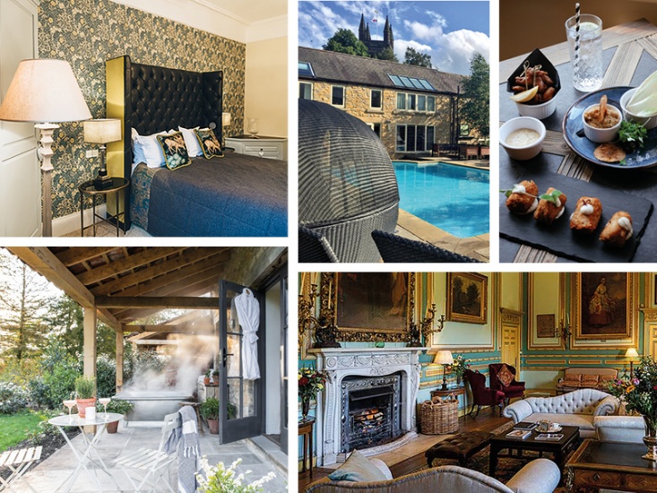 collage of featured images