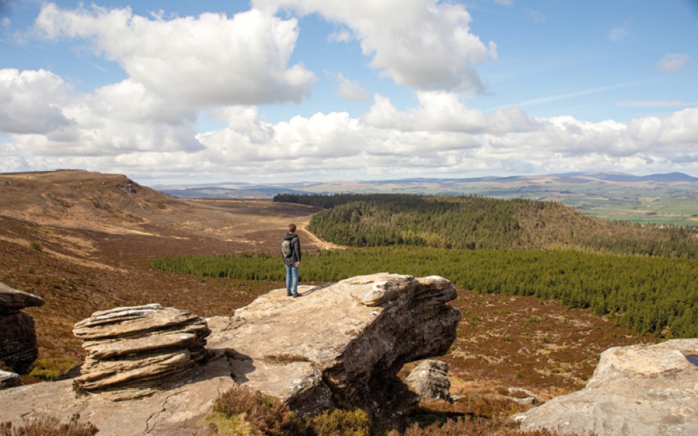 SIMONSIDE, SIMONSIDE HILLS