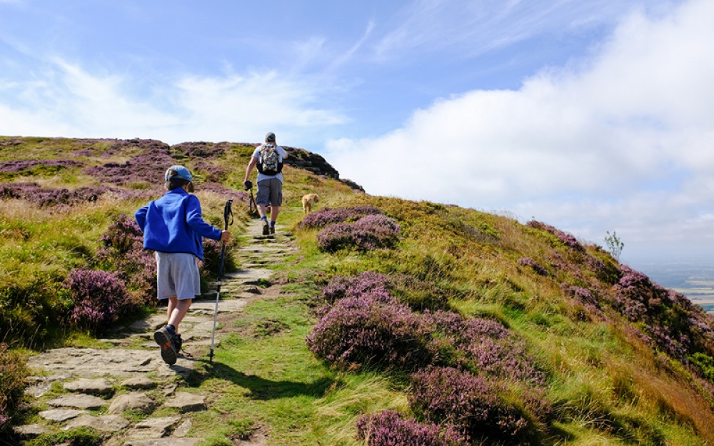 CRINGLE MOOR