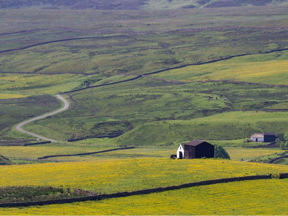 Upper Teasdale