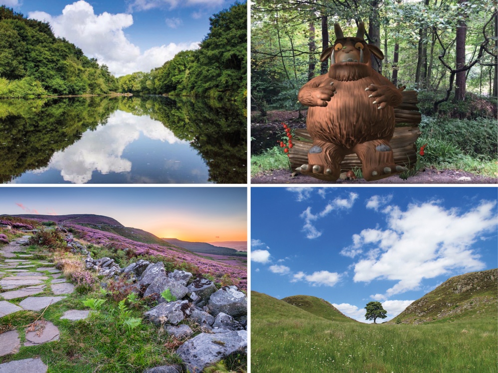 Collage of featured walks