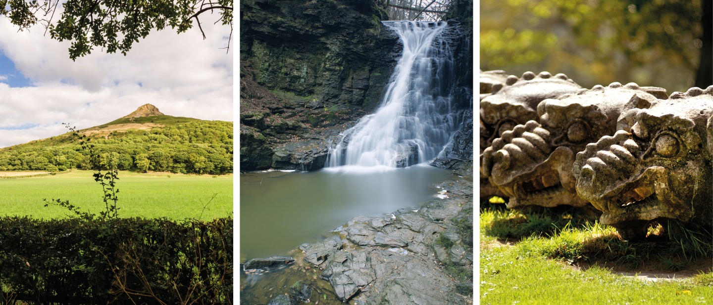 Roseberry Topping Woodland Wildlife Walk | Hareshaw Linn Walk | Wallington